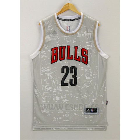 Camiseta Luces De La Ciudad Chicago Bulls Michael Jordan #23 Gris
